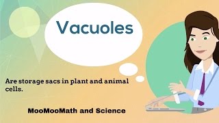 VacuolesCell Organelles [upl. by Gnehp]