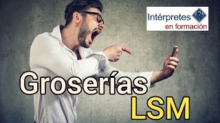 Groserías en Lengua de Señas Mexicana [upl. by Aneeres]