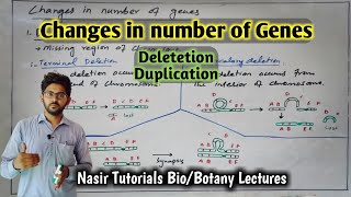 Deletion  DuplicationChromosomal Structural Changes  Mutations 34  Genetics Lecture for BS [upl. by Elberfeld471]