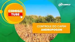 Caso de Sucesso  Controle do Capim Andropogon tolerante a herbicidas em Chapadão do CéuGO [upl. by Fennell]