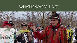 What is Wassailing And how does it help apple trees [upl. by Keffer]