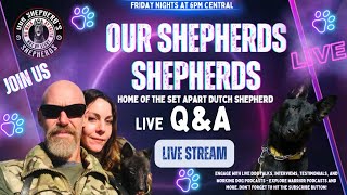 LIVE ‼️DUTCH SHEPHERD BREED TALK 🐾QampA amp dogtraining Discussion amp Owner testimonies 🛑 [upl. by Og]