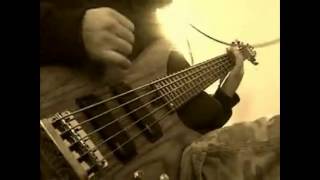 System of A Down quotDdevilquot Bass Cover [upl. by Acir143]