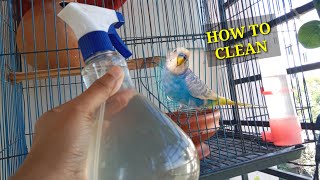 How to Clean a Birdcage  Budgie cleaning routine Bangla  পাখির খাঁচা পরিস্কার করার সঠিক পদ্ধতি [upl. by Nale]