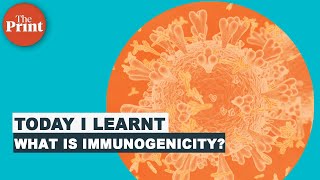 What is immunogenicity of vaccines [upl. by Alemak]