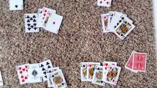 How to play Euchre Part 24 [upl. by Gellman]