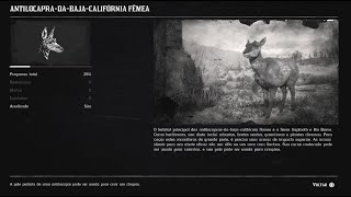 RED DEAD REDEMPTION 2 COMPÊNDIO ANIMAIS  ANTILOCAPRA DA BAJA CALIFÓRNIA FÊMEA PERFEITA 111178 [upl. by Oedama]