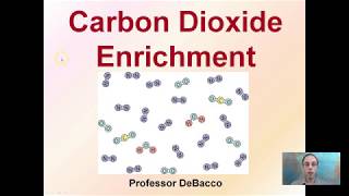 Carbon Dioxide Enrichment [upl. by Nayrda466]