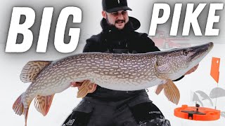 TipUp Ice Fishing for BIG PIKE How to stepbystep [upl. by Annorah]