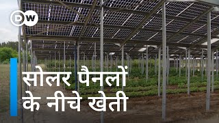 यहां बिजली ही नहीं बनती खेती भी चकाचक है Combining photovoltaic and agriculture [upl. by Akceber592]