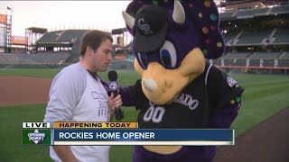 Eric Lupher tries to squeeze his way onto the Rockies roster [upl. by Sixele]