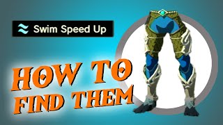 How to Get Zora Greaves  A Token of Friendship Side Quest  Tears of the Kingdom Guide [upl. by Sisxela]