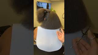 The trimming process is so satisfying 🤩shorts hairstyles naturalhair haircut fypシ゚viral [upl. by Nevyar]