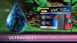 Fluval UVC InLine Clarifier [upl. by Atsyrk675]