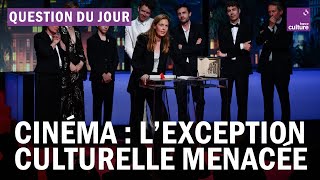 Cinéma  l’exception culturelle française estelle vraiment en péril [upl. by Vicky]