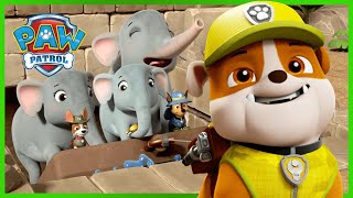 Pups save scared Elephants from a Jungle Temple  PAW Patrol  Cartoons for Kids Compilation [upl. by Ahsile]