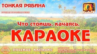 Караоке  quotТонкая рябина quot Русская Народная песня Новая [upl. by Geralda]