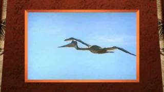 Flying Quetzalcoatlus Movie from 3D Dinosaur Adventure MSDOSPackard Bell Version [upl. by Rettuc]