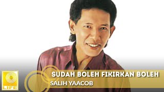 Salih Yaacob  Sudah Boleh Fikirkan Boleh Official Audio [upl. by Annauqaj]