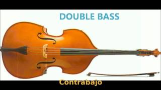 DOUBLE BASS SOUND [upl. by Freddie743]