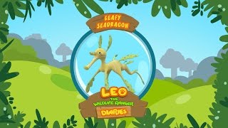 Leafy Sea Dragon  Leo The Wildlife Ranger Animal Diaries  Animal Facts for Kids [upl. by Oric]