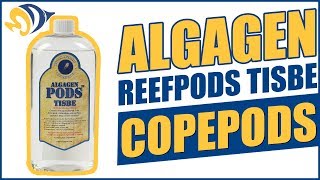 How to Introduce Copepods into your Reef Aquarium [upl. by Aiset]