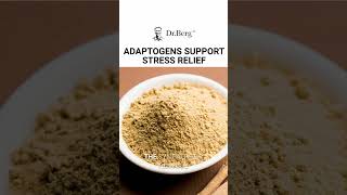 Discover the power of adaptogens in reducing stress 🌿✨ DrBerg HealthyLifestyle Adaptogens [upl. by Ydner]