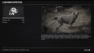 RED DEAD REDEMPTION 2 COMPÊNDIO ANIMAIS  CACHORRO LABRADOR RETRIEVER 48178 [upl. by Ion601]