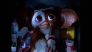 Gremlins Billy Meets Gizmo  Movie Scene HD  Warner Bros Entertainment [upl. by Qiratla900]