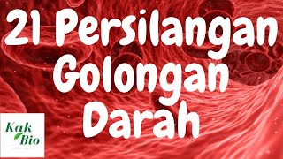 21 Persilangan Golongan Darah ABO amp Persentasenya  GENETIKA [upl. by Lavery]