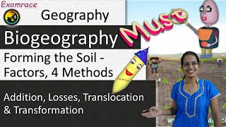 Forming the Soil  Factors 4 Methods and 13 Types Dr Manishika  Examrace [upl. by Atik]