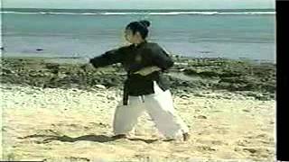 Sensei Shimpo Matayoshi Kobudo Video [upl. by Kendra]