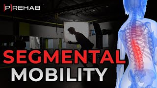 Segmental Mobility Drills [upl. by Solrak]