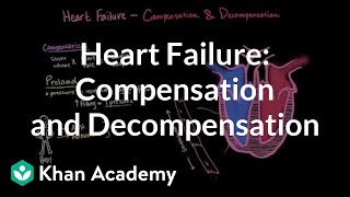 Compensation and decompensation in heart failure  NCLEXRN  Khan Academy [upl. by Fabio]