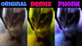 Chipi Chipi Chapa Chapa Original vs Phonk vs Remix [upl. by Euf]