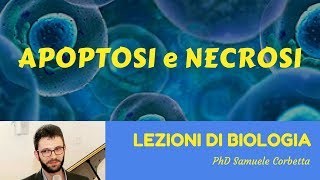 Apoptosi e Necrosi  Lezioni di Biologia [upl. by Eednam760]