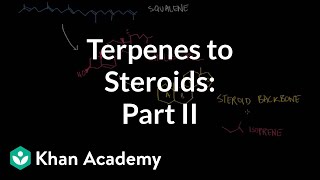 From terpenes to steroids part 2 Squalene cholesterol and steroids  Khan Academy [upl. by Ahsiekin]