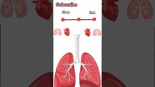 Lungs capacity test  Lungs test  spriometory shorts trending [upl. by Ormsby]