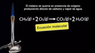 Ecuación molecular iónica y iónica neta  Química  Khan Academy en Español [upl. by Nnylrats375]