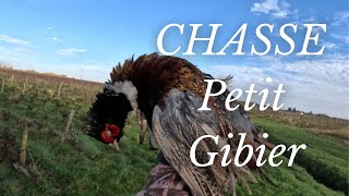 CHASSE PETIT GIBIER faisentbecasseliévre [upl. by Habeh]