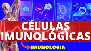 CÉLULAS IMUNOLÓGICAS ENSINO SUPERIOR  CÉLULAS DO SISTEMA IMUNE  FUNÇÕES E CARACTERÍSTICAS [upl. by Suiradel]