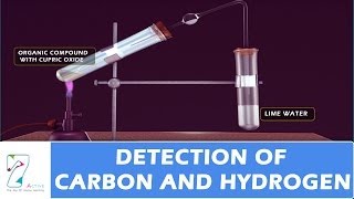 Detection of Carbon And Hydrogen [upl. by Wincer764]