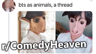 rComedyHeaven at 3am  Cringe BTS as animals [upl. by Colyer]