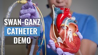 Swan Ganz Catheter Nursing nursingskills [upl. by Trela]