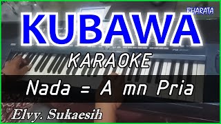 KUBAWA  Elvy sukaesih KARAOKE COVER Pa800 nada PRIA [upl. by Bunting]