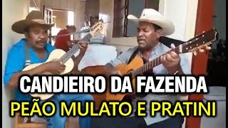 Candieiro da Fazenda  Peão Dourado e Pratini [upl. by Niklaus]