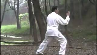 Master ZHU Tian Cai performs CHEN SHI Lao Jia Yi Lu  ChenVillage  Part 1 [upl. by Aiem]