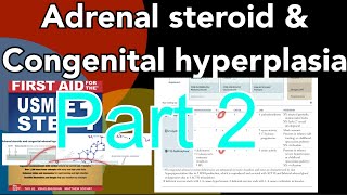 Adrenal steroid amp congenital hyperplasia part 2 in HindiUrdu  enzyme deficiency conditions [upl. by Nizam]