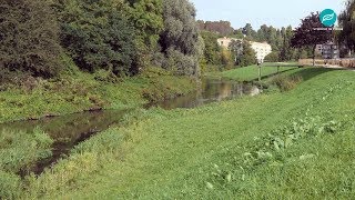 La restauration des berges de lOrge au Coteau des Vignes à AthisMons [upl. by Ahsem75]