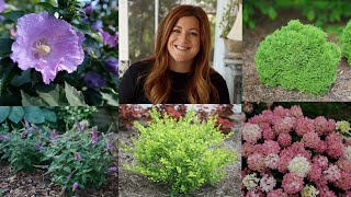 10 Small Shrubs that Will Fit In Any Garden 🌿  Garden Answer [upl. by Floyd]